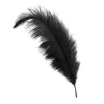 black ostrich feather hat plume