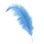 columbia ostrich feather hat plume