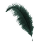 forest ostrich feather hat plume