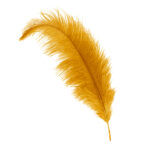 gold ostrich feather hat plume