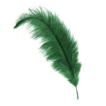 kelly ostrich feather hat plume