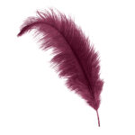 maroon ostrich feather hat plume