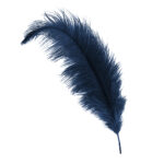 navy ostrich feather hat plume