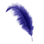 purple ostrich feather hat plume