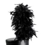 black french upright feather shako plume on black shako