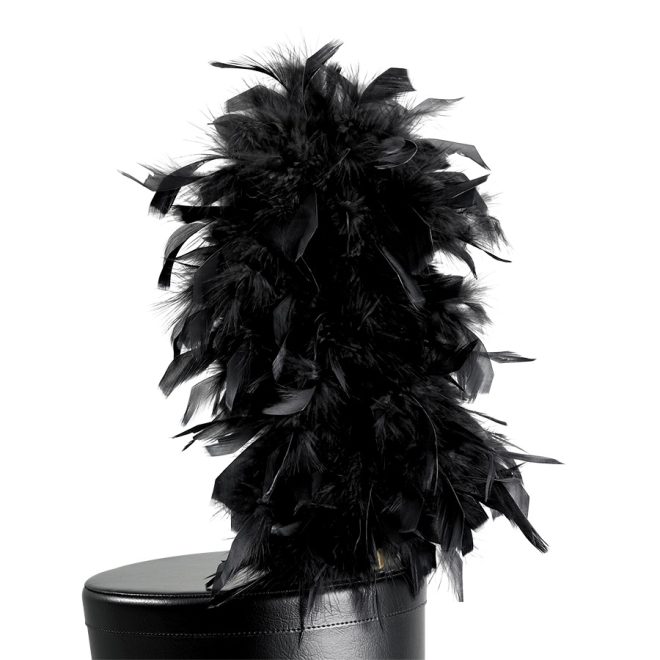 black french upright feather shako plume on black shako