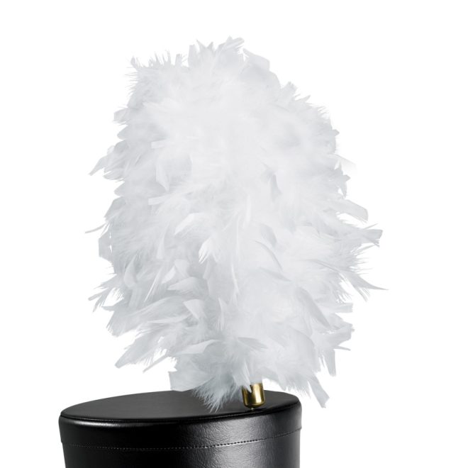 white french upright feather shako plume on black shako