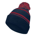 navy/scarlet holloway homecoming beanie