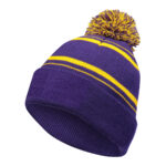 purple/gold holloway homecoming beanie