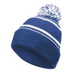 royal/white holloway homecoming beanie