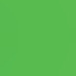 neon lime matte spandex guard fabric