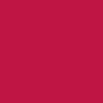 raspberry matte spandex guard fabric