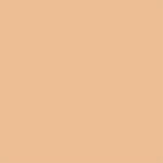 tan matte spandex guard fabric