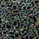 Black/Silver Sparkle Sequin