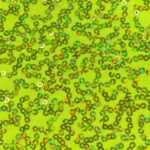 Hot Lime/Chartreuse Sparkle