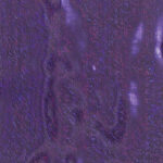 purple mardi gras lame flag fabric