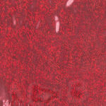 red mardi gras lame flag fabric