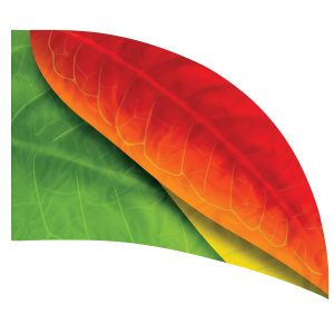 print on demand color guard flag with Layered Orange, Yellow, and Green leaves design