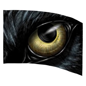 yellow eye of animal with black fur printed color guard flag