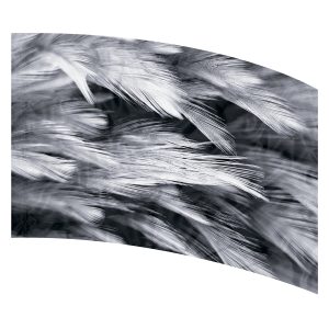 Black with white feathers printed color guard flag