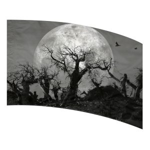 color guard flag with a spooky Black and White photo of a full moon with silhouette trees