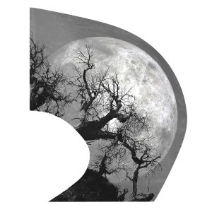 color guard swing flag with a spooky Black and White photo of the moon and trees