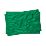 green star line double twirling flags