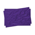 purple star line double twirling flags