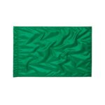 green star line lame twirl flag