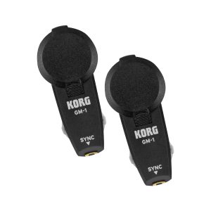 korg in ear group metronome