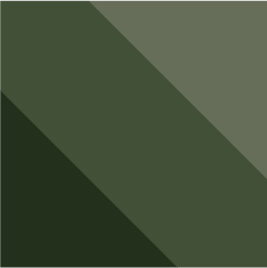 Army Green Tonal