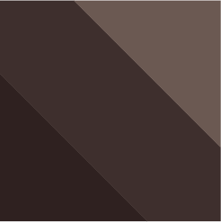 Dark Brown Tonal