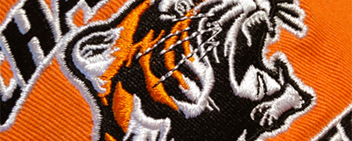 example of an embroidered logo