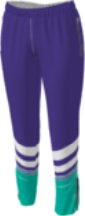 purple jflj10 custom pants option 0068 with angled teal stripes and a white panel along the bottom hem.