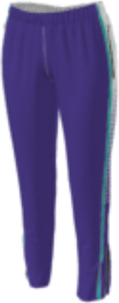 purple jflj10 custom pants option 0128 with a team graphic print starting at the hip outlined in white.