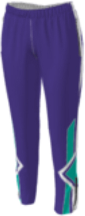 purple jflj10 custom pants option 0132 with a teal and white stripe design on the leg