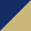 navy/gold