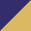 Purple/Gold