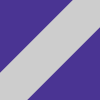 purple/silver/purple