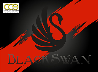 Black Swan Color Guard Show by John Fannin Productions